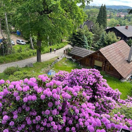 Apartament Wiktoria Szklarska Poręba Esterno foto